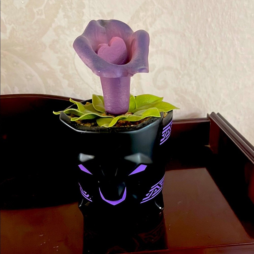 Purple Decorative Flower Pot from Disneyland